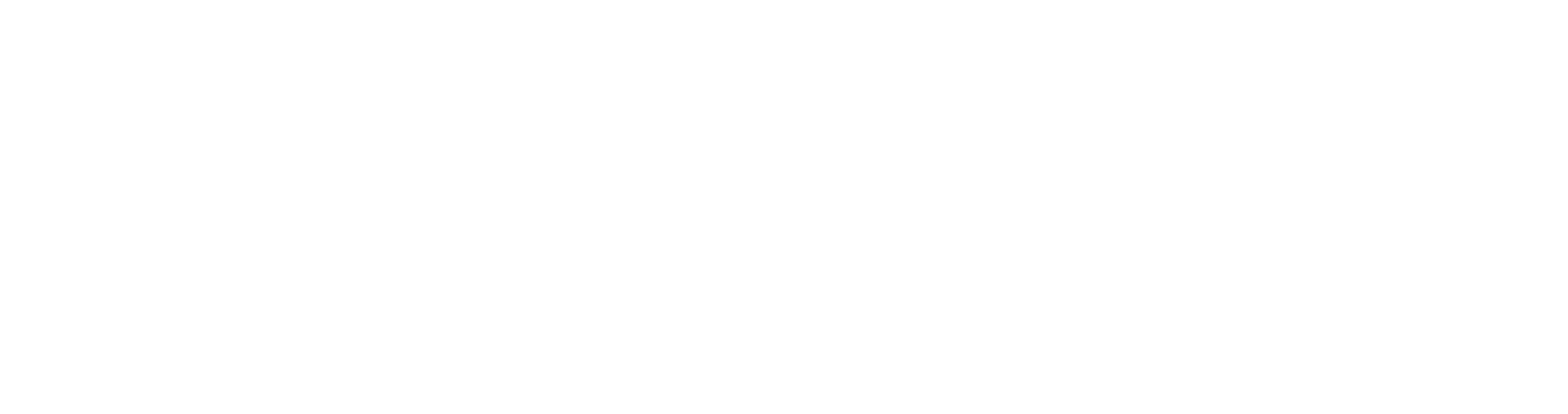 Houston Shine FC